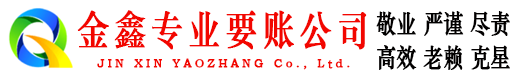 长武清债公司
